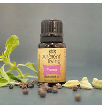 https://cdn.shopify.com/s/files/1/1857/6931/files/AoUT6LxFYU-729963.jpg?v=1736147455
