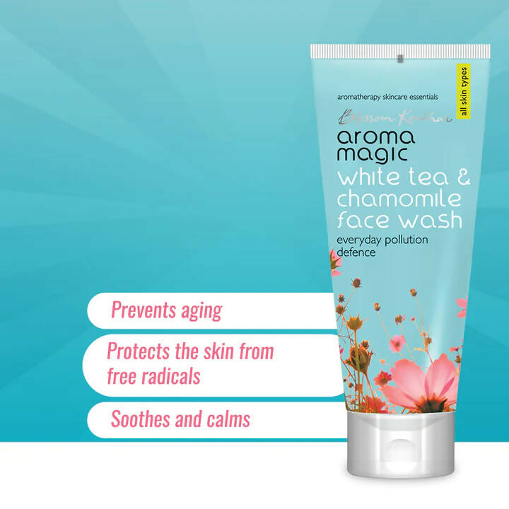 https://cdn.shopify.com/s/files/1/1857/6931/products/ApfFC88r3U.jpg?v=1677836768