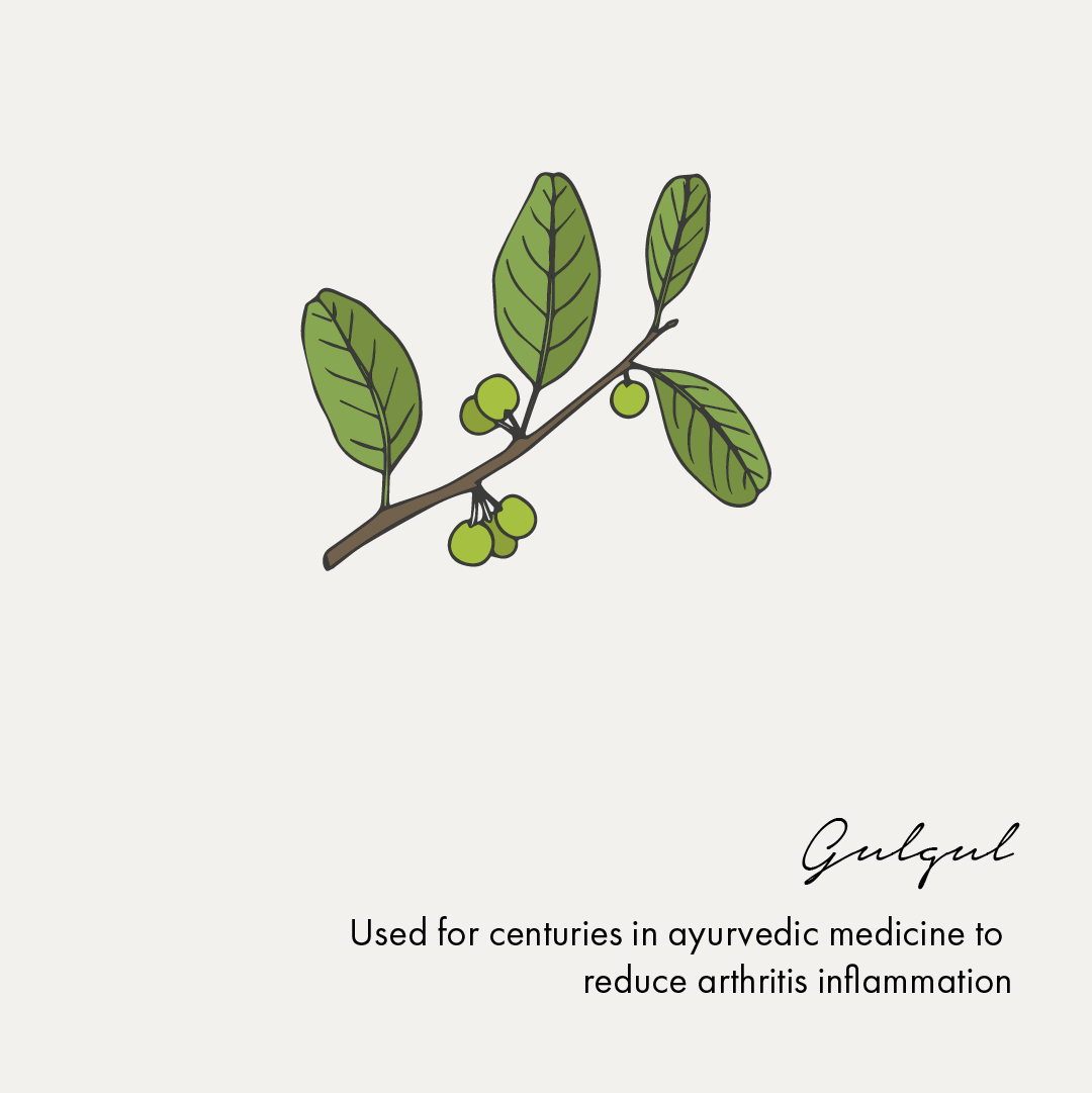 https://cdn.shopify.com/s/files/1/1857/6931/files/Artboard13.png?v=1770104110