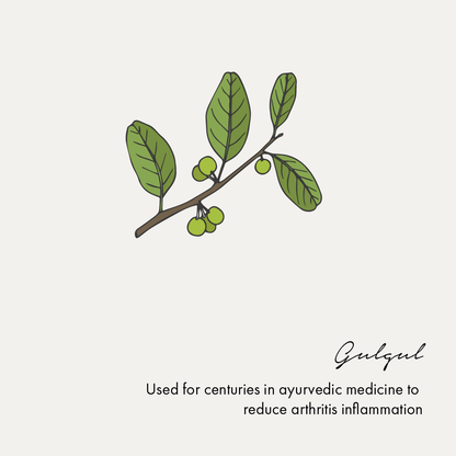 https://cdn.shopify.com/s/files/1/1857/6931/files/Artboard13.png?v=1770104110