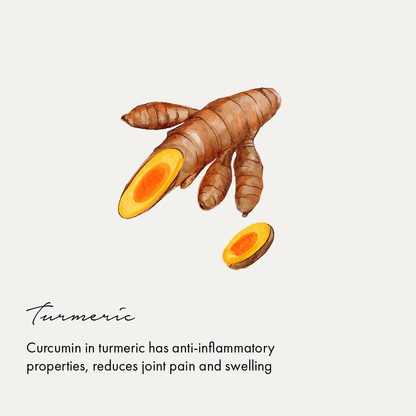 https://cdn.shopify.com/s/files/1/1857/6931/files/Artboard15.png?v=1770104110