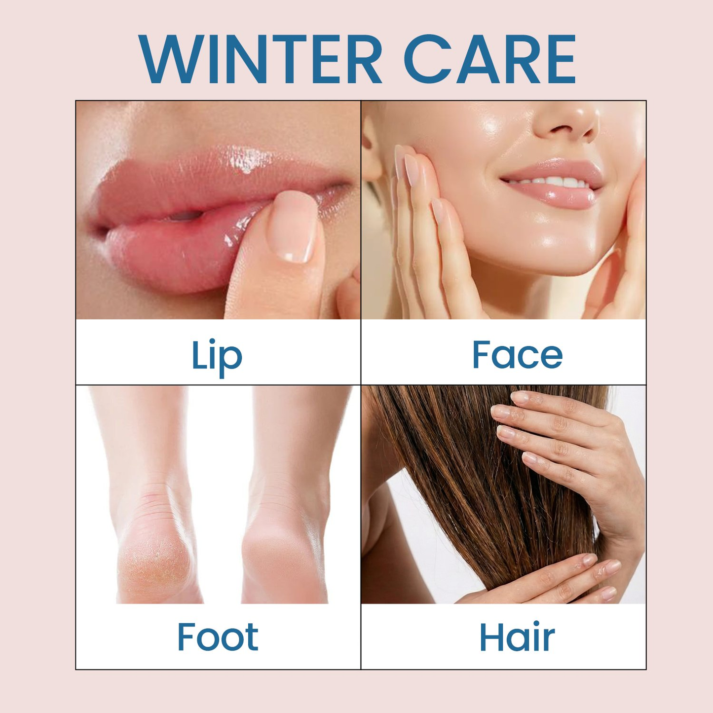 https://cdn.shopify.com/s/files/1/1857/6931/files/Artboard5_8e940f24-d7bc-4639-852d-a8f426e334dd.png?v=1771940460