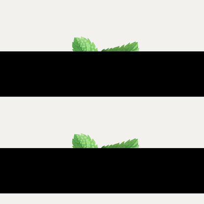 https://cdn.shopify.com/s/files/1/1857/6931/files/Artboard7_1f6be892-3f58-4d4f-ba2f-c3b9cbd452b1.png?v=1770104091