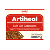 https://cdn.shopify.com/s/files/1/1857/6931/files/Artiheal_10x10_capsules_4b721dc3-f32a-4d8d-8b42-ccf55fc876cb.png?v=1762178676