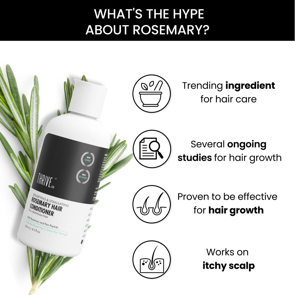 https://cdn.shopify.com/s/files/1/1857/6931/files/AsMz7wtvPp.jpg?v=1713852574