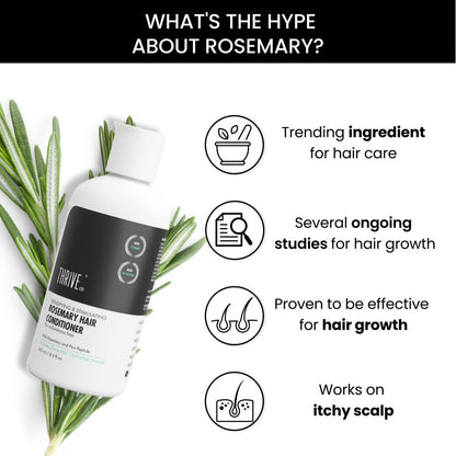 https://cdn.shopify.com/s/files/1/1857/6931/files/AsMz7wtvPp.jpg?v=1713852574