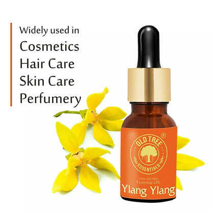 https://cdn.shopify.com/s/files/1/1857/6931/products/AvI0GxqLbb.jpg?v=1683719697