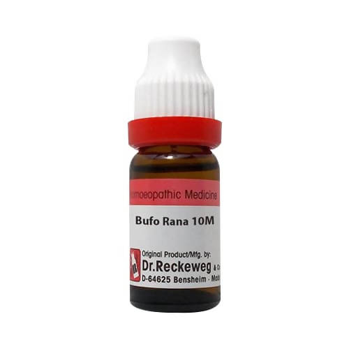 https://cdn.shopify.com/s/files/1/1857/6931/products/AvXDd8VAUz.jpg?v=1641203514