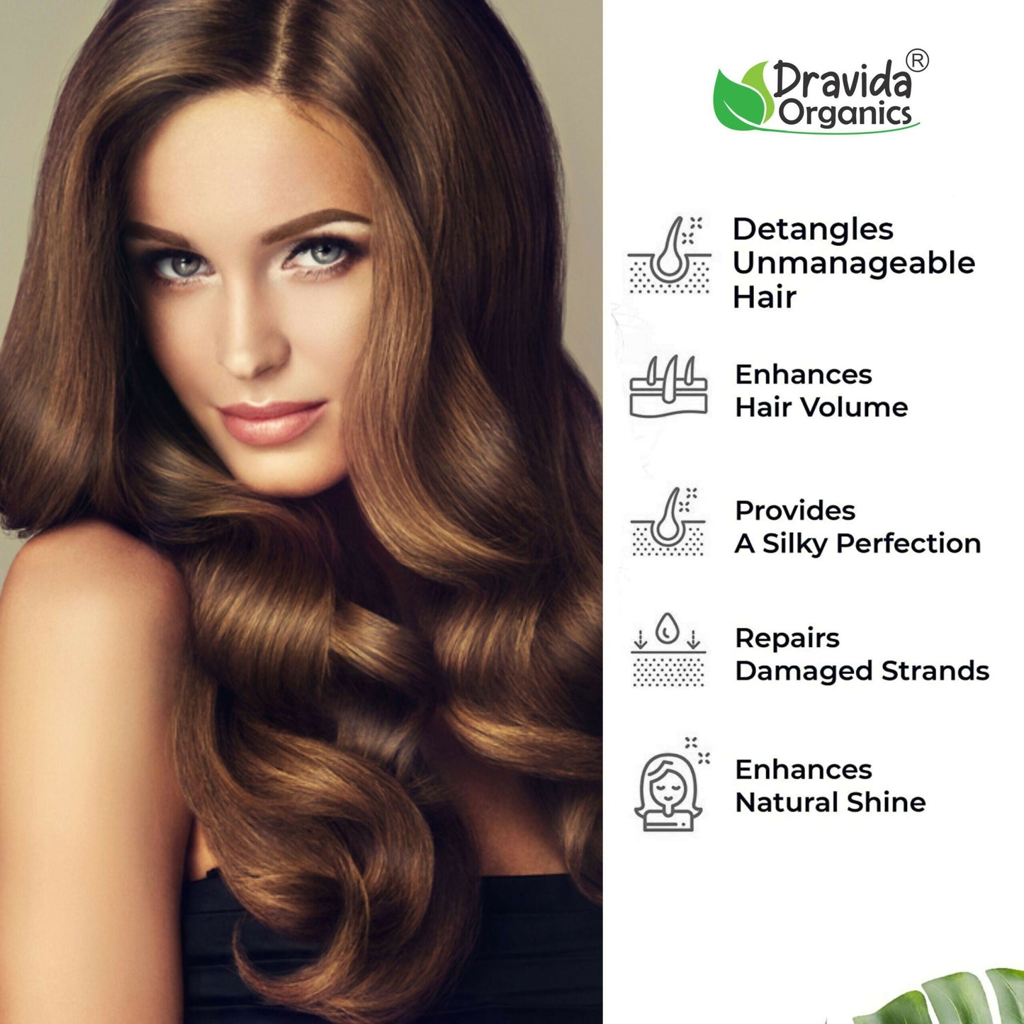 https://cdn.shopify.com/s/files/1/1857/6931/files/AwD1Wxl3A4.jpg?v=1778051872