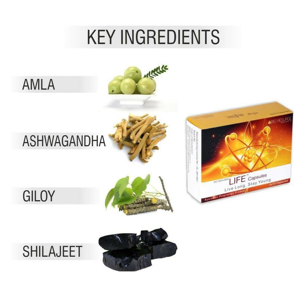 https://cdn.shopify.com/s/files/1/1857/6931/products/Ay250eIfZa.jpg?v=1697544739