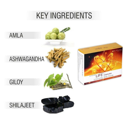 https://cdn.shopify.com/s/files/1/1857/6931/products/Ay250eIfZa.jpg?v=1697544739