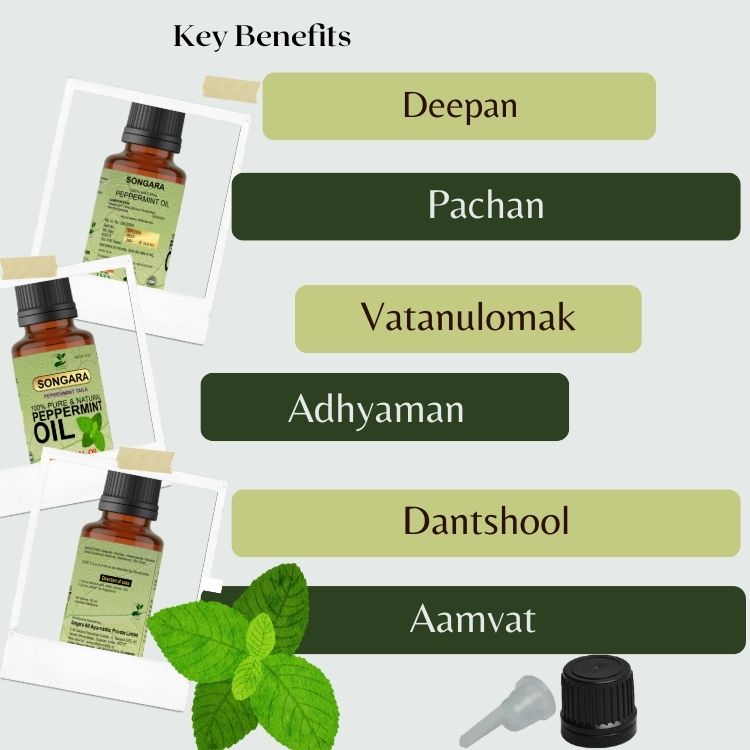 https://cdn.shopify.com/s/files/1/1857/6931/files/AyurvedicindicagtionsofPeppermintEssentialOil.jpg?v=1778160438