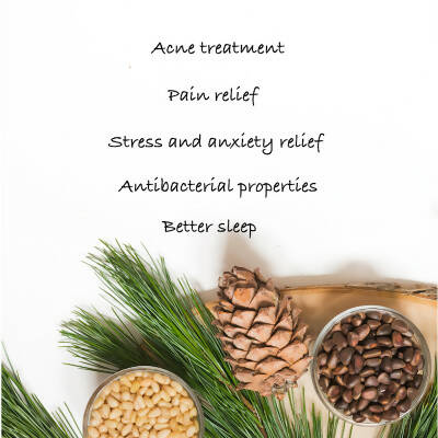https://cdn.shopify.com/s/files/1/1857/6931/products/AzLIAtzLIB.jpg?v=1670671251