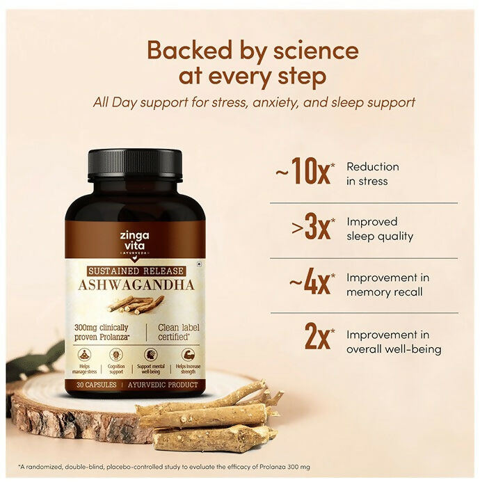 https://cdn.shopify.com/s/files/1/1857/6931/files/B3UKE0yPUM.jpg?v=1711105403