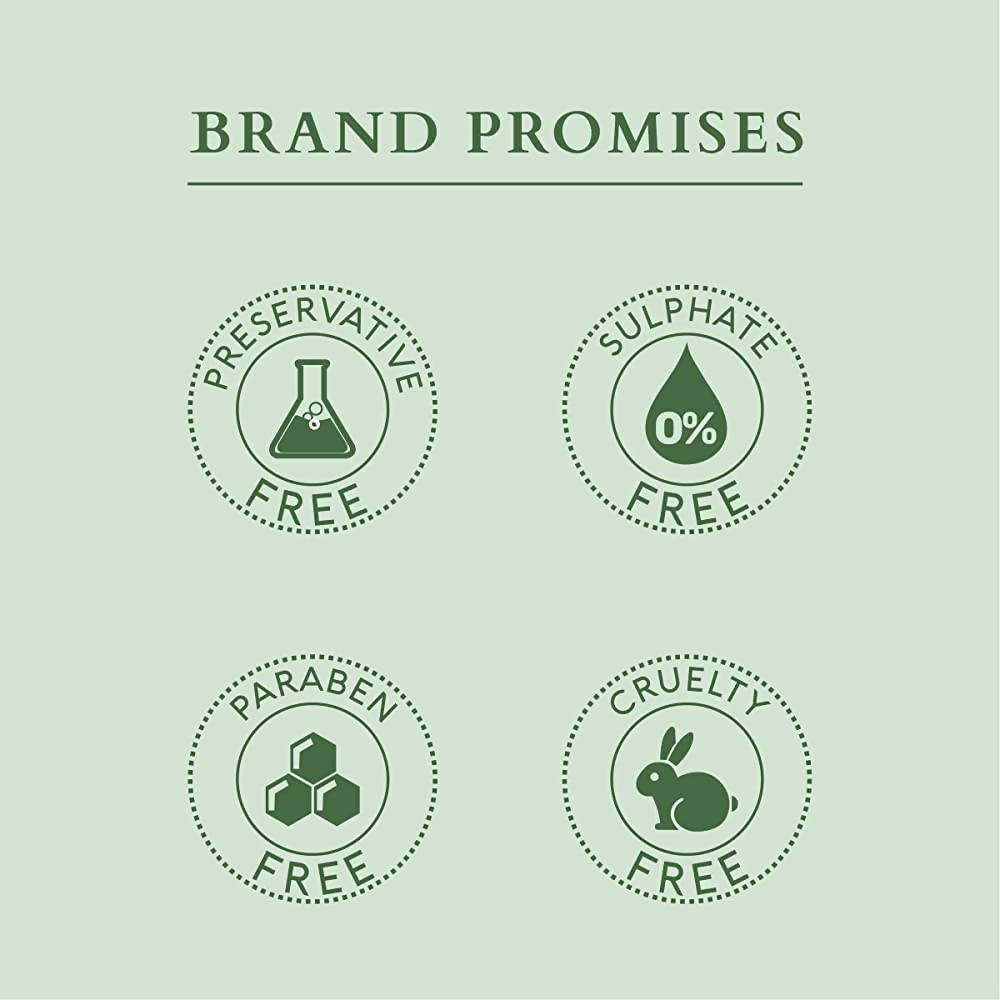 https://cdn.shopify.com/s/files/1/1857/6931/products/B5lFatsZnF.jpg?v=1648461288