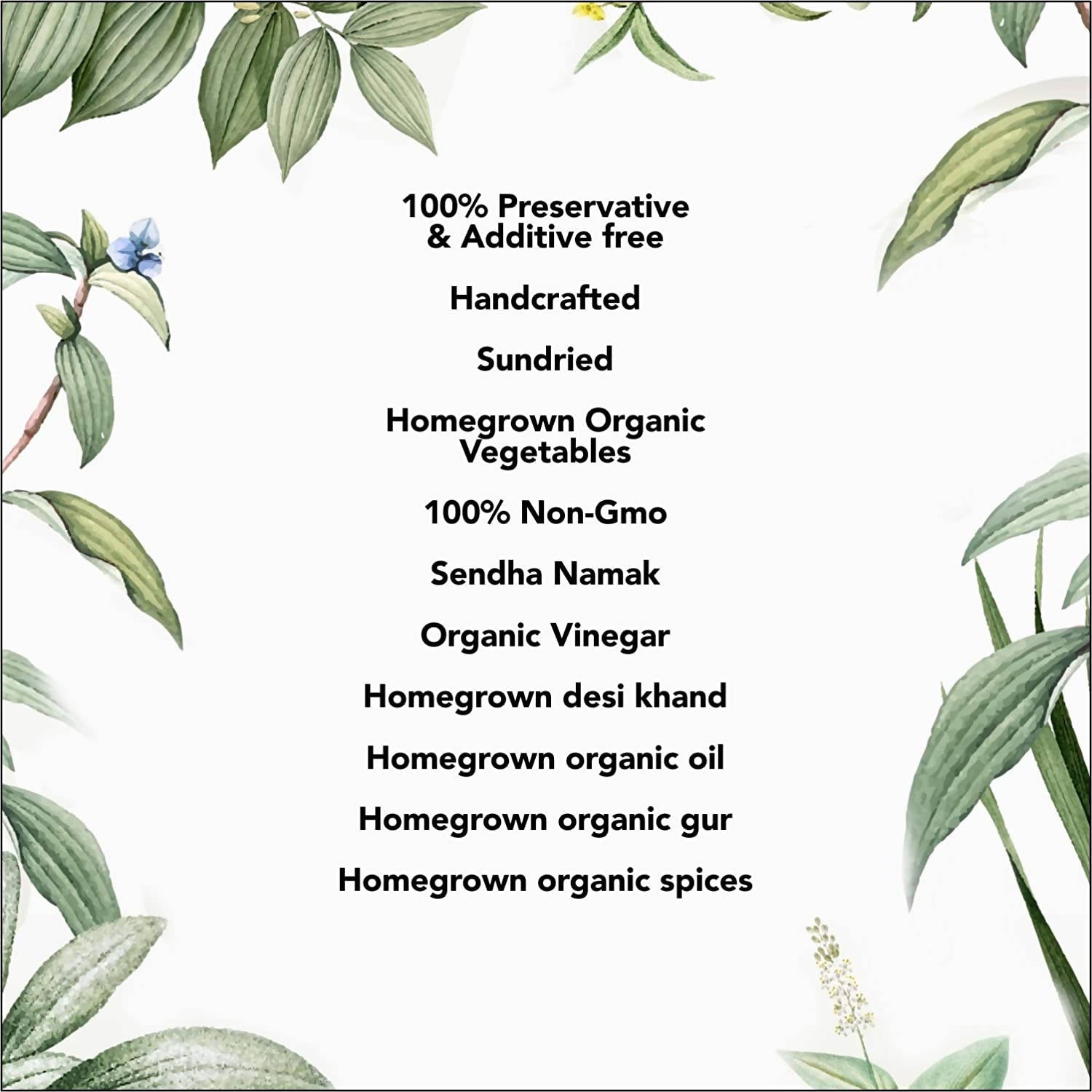 https://cdn.shopify.com/s/files/1/1857/6931/products/B6T2bynZMY.jpg?v=1646810559