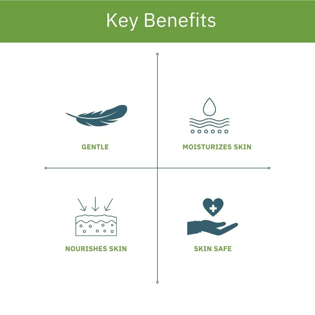 https://cdn.shopify.com/s/files/1/1857/6931/files/B9NWeYxv65.png?v=1735647306