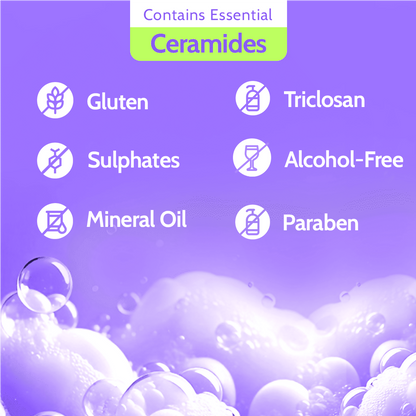 https://cdn.shopify.com/s/files/1/1857/6931/files/BBdm4vcoQU.png?v=1746702980
