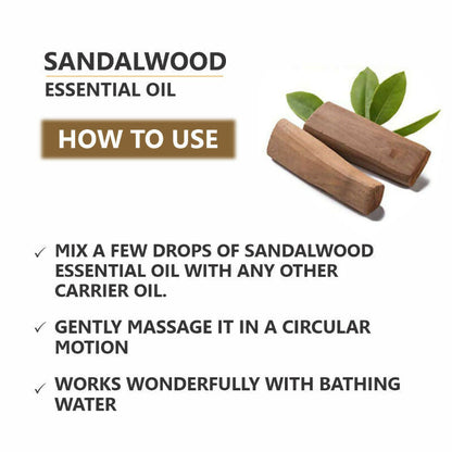 https://cdn.shopify.com/s/files/1/1857/6931/files/BFag1t8ePX.jpg?v=1731580600
