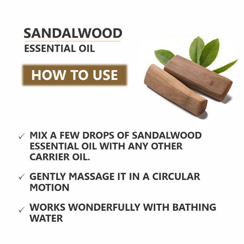 https://cdn.shopify.com/s/files/1/1857/6931/files/BFag1t8ePX.jpg?v=1731580600