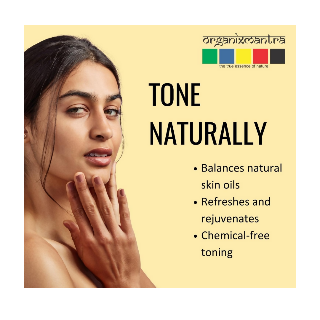 https://cdn.shopify.com/s/files/1/1857/6931/files/BInyyq7fXO.png?v=1723114201
