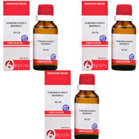 https://cdn.shopify.com/s/files/1/1857/6931/files/BJAIN-GENIE-53266-15_ee8d51c8-7623-4546-a082-af01571a801c.jpg?v=1756823885