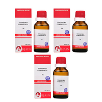 https://cdn.shopify.com/s/files/1/1857/6931/files/BJAIN-GENIE-53282-15_6fd72454-eef6-4543-8ecf-738e1a6eee05.png?v=1756823806