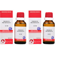 https://cdn.shopify.com/s/files/1/1857/6931/files/BJAIN-GENIE-53308-08_60faf716-7453-4600-acbd-d9a26e52501e.jpg?v=1756823922