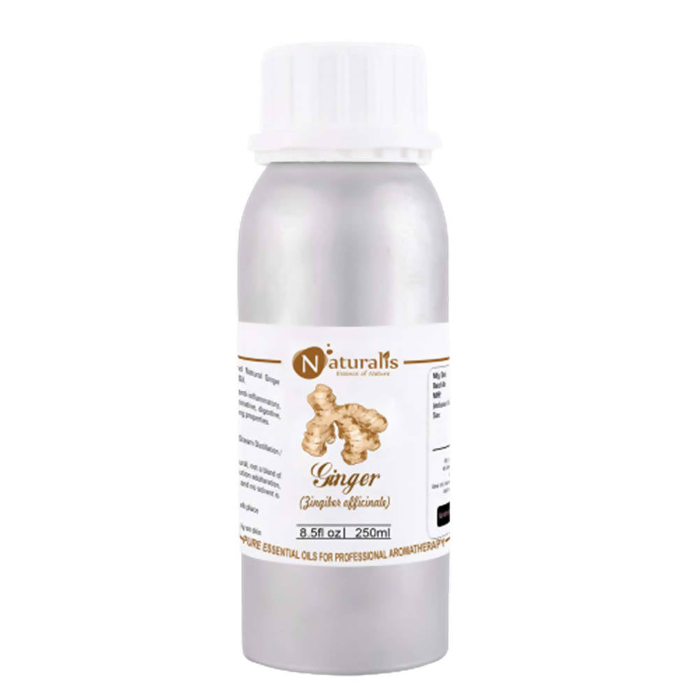 https://cdn.shopify.com/s/files/1/1857/6931/products/BJR1FIakwP.jpg?v=1623410939