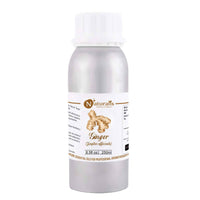 https://cdn.shopify.com/s/files/1/1857/6931/products/BJR1FIakwP.jpg?v=1623410939