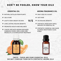 https://cdn.shopify.com/s/files/1/1857/6931/products/BM15uC9aps.jpg?v=1625797831