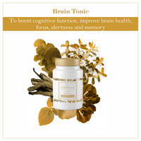 https://cdn.shopify.com/s/files/1/1857/6931/files/BRQjdrslVL.png?v=1724842879