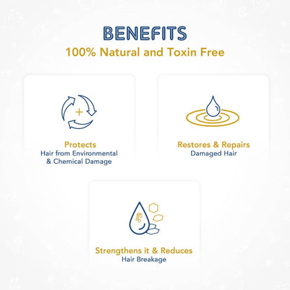 https://cdn.shopify.com/s/files/1/1857/6931/products/BSCZkgFtKF.jpg?v=1616120881