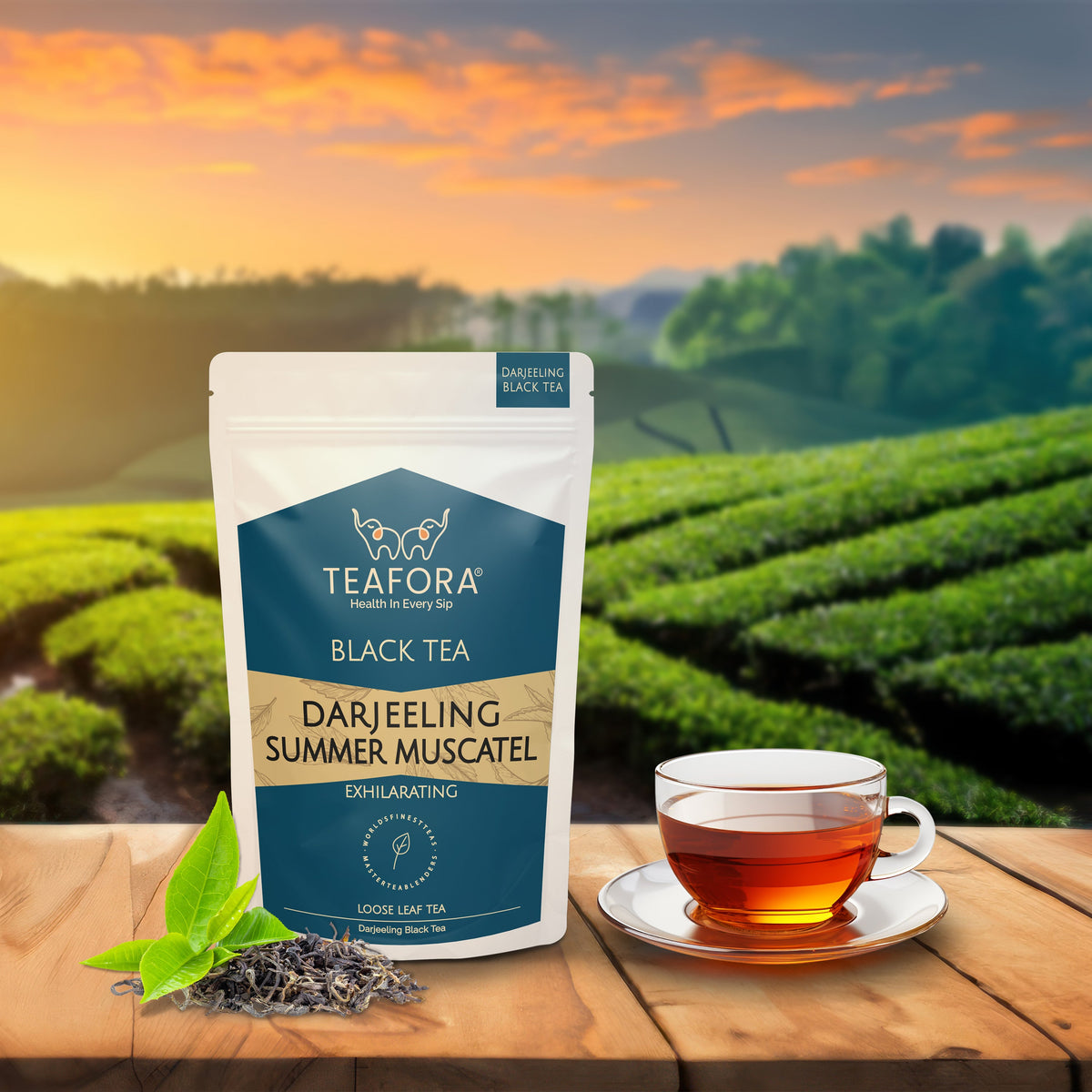 Image 2 of TEAFORA Darjeeling Summer Muscatel Black Tea | Second Flush Loose Leaves | Full Bodied, Musky Fragrance with Floral Notes | Freshly Sourced Direct From Origin