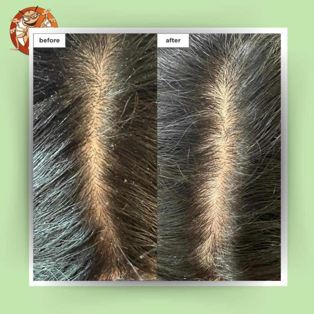 https://cdn.shopify.com/s/files/1/1857/6931/files/BTwVfZCHMM.png?v=1779260299