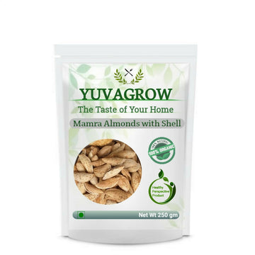 https://cdn.shopify.com/s/files/1/1857/6931/files/BUUoTwG9iC.jpg?v=1717504616