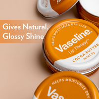 https://cdn.shopify.com/s/files/1/1857/6931/files/BVhK852pwJ.png?v=1727776240