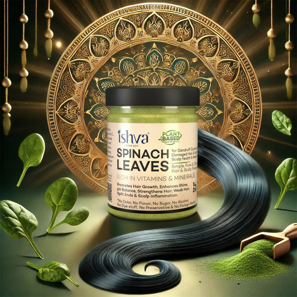 https://cdn.shopify.com/s/files/1/1857/6931/files/BXIjeN93Wj.jpg?v=1741332076