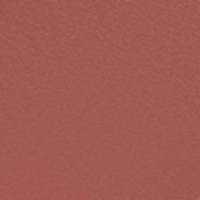 https://cdn.shopify.com/s/files/1/1857/6931/files/BXaAbwkeea.png?v=1738233015
