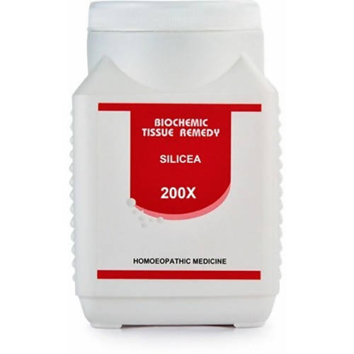 https://cdn.shopify.com/s/files/1/1857/6931/products/BZG4fLwW8v.jpg?v=1641557667