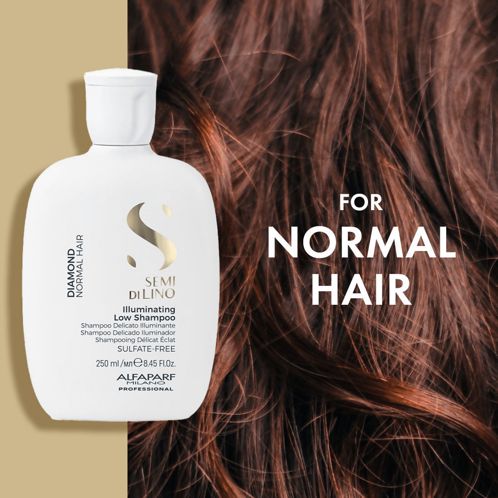 https://cdn.shopify.com/s/files/1/1857/6931/files/BZdR4RLMMp-596857.png?v=1736146328