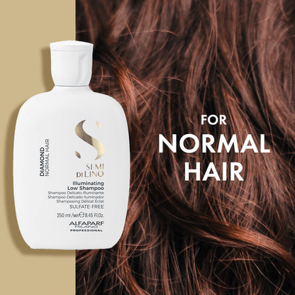 https://cdn.shopify.com/s/files/1/1857/6931/files/BZdR4RLMMp-596857.png?v=1736146328