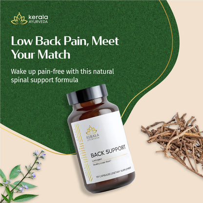 https://cdn.shopify.com/s/files/1/1857/6931/files/Back_Support_Kerala_Ayurveda_USA.jpg?v=1773821302