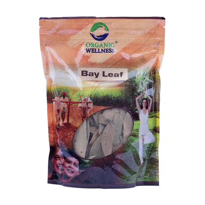 https://cdn.shopify.com/s/files/1/1857/6931/files/BayLeaf-1.jpg?v=1762276557