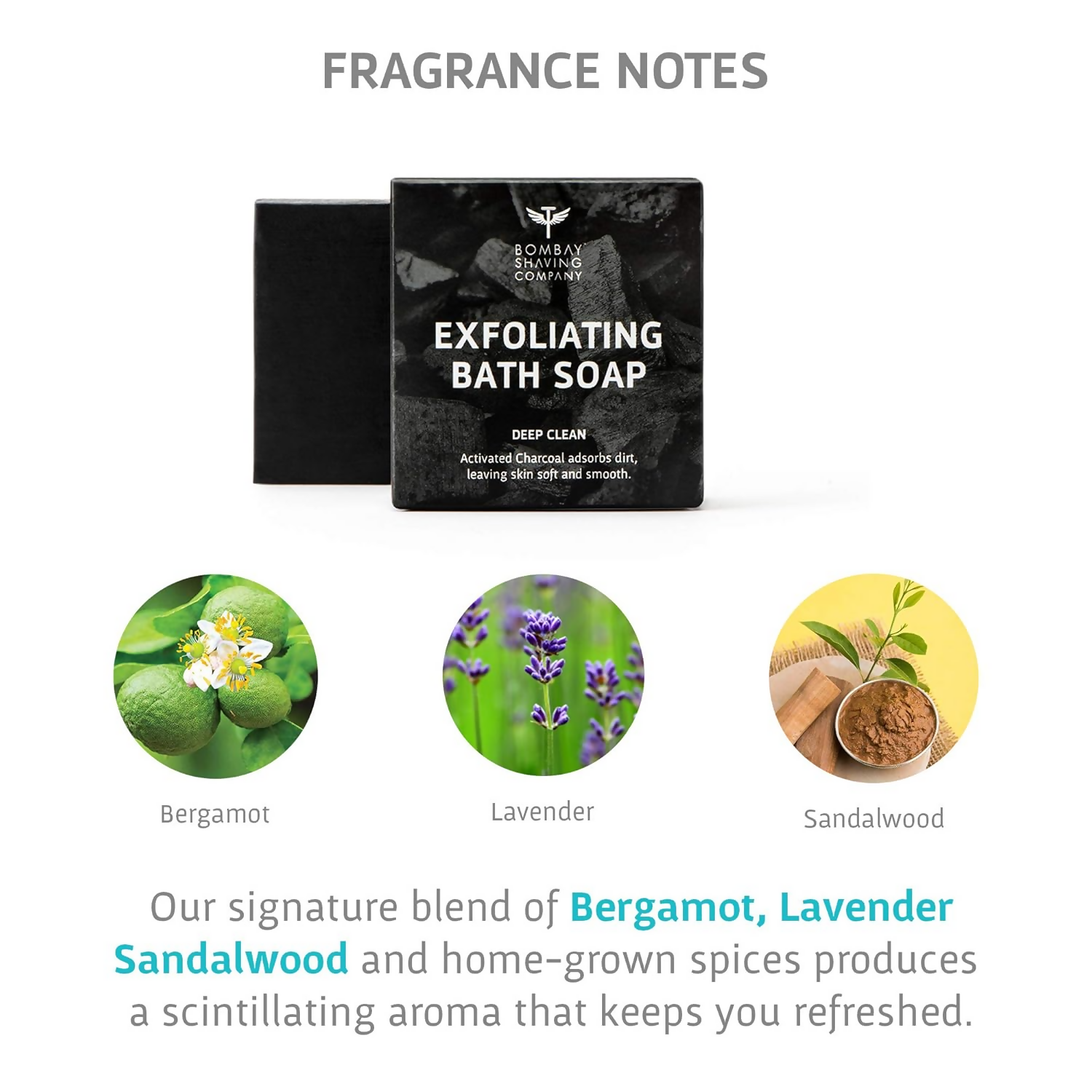 https://cdn.shopify.com/s/files/1/1857/6931/files/Bb8d5DUc1G.png?v=1737531412