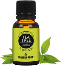 https://cdn.shopify.com/s/files/1/1857/6931/products/BbX5Iy34GN.jpg?v=1646460671