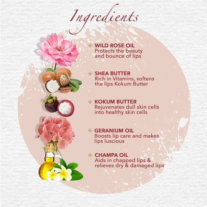 https://cdn.shopify.com/s/files/1/1857/6931/products/BcRJqeWgKk.jpg?v=1672050379