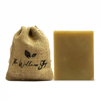 https://cdn.shopify.com/s/files/1/1857/6931/products/BdVfK6pQM6.jpg?v=1759289372