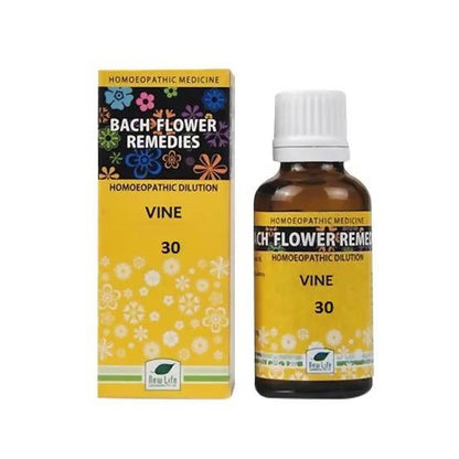 https://cdn.shopify.com/s/files/1/1857/6931/products/BdmXD6Hpsx.jpg?v=1762313433