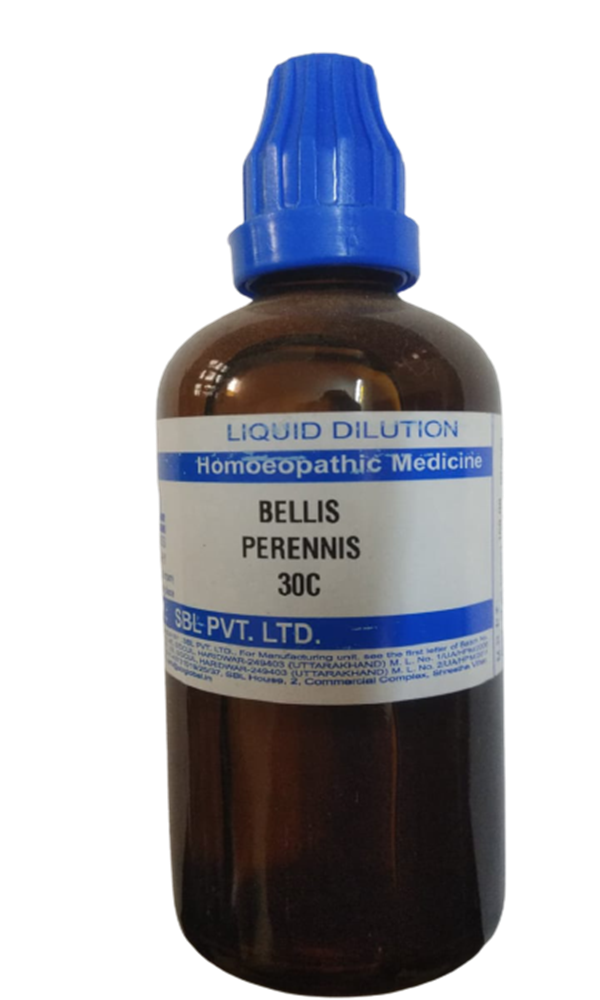 https://cdn.shopify.com/s/files/1/1857/6931/products/Bellis_Perennis_30C-removebg-preview.png?v=1623660266